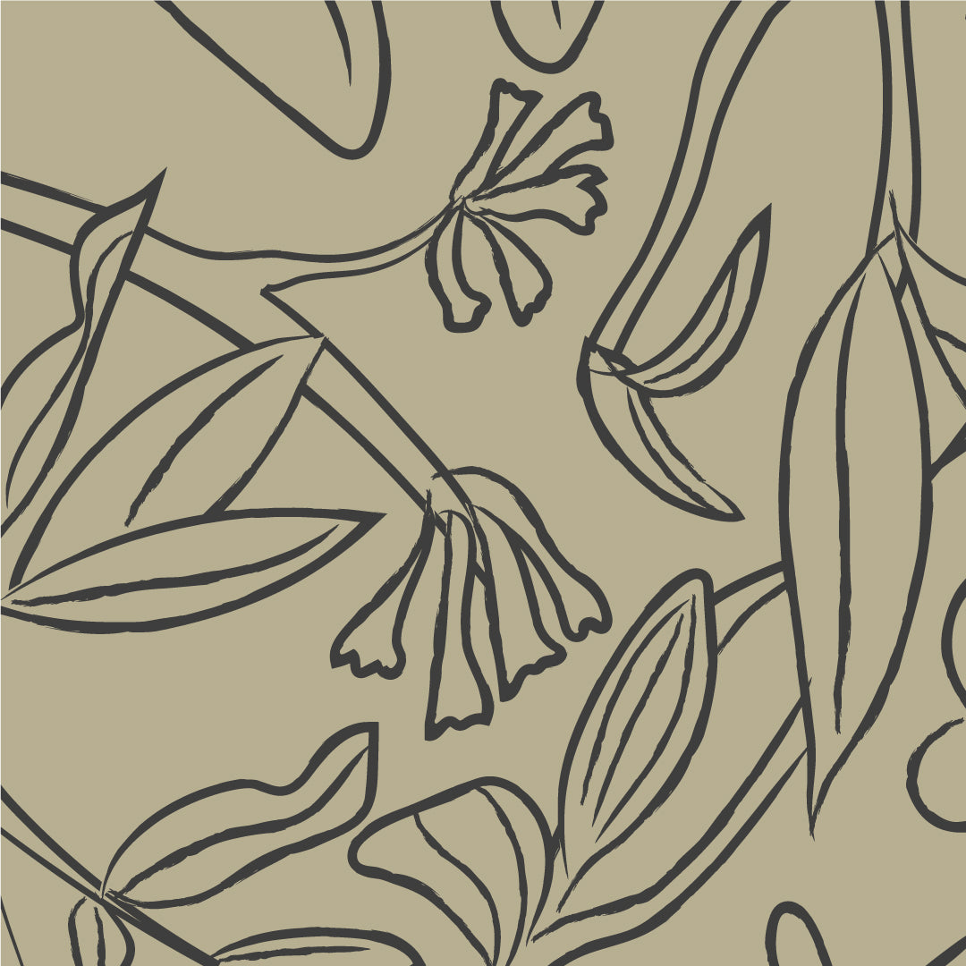 Fragancia Herbal